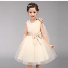 Кружевное фатиновое платье принцессы цвета шампанского без рукавов с цветочным рисунком для маленьких девочек; детская официальная одежда для свадьбы, дня рождения; Vestidos; BW162