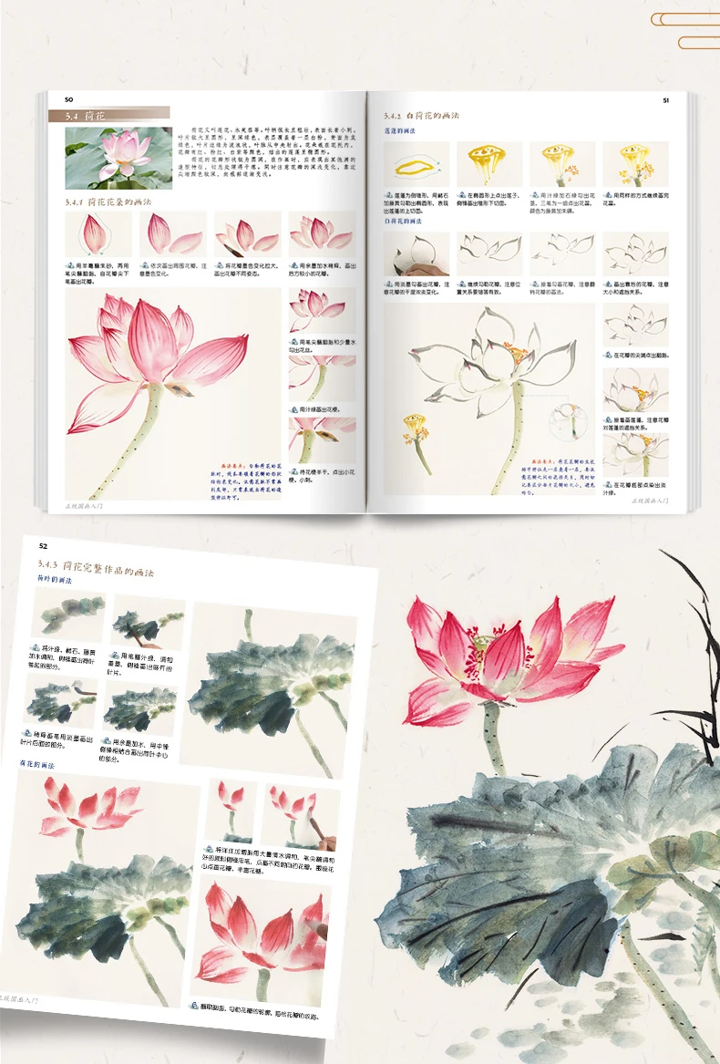 Linie Zeichnung Malerei Färbung Buch Null-based Art Freehand Malerei Grundlegende Tutorial Buch Blume Vogel Chinesischen Tinte Malerei Album – Detail 8