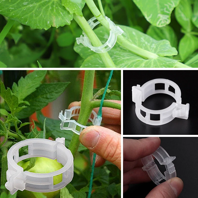 

Plastic Plant Clips Supports Connects Protection Grafting Fixing Tool Gardening Supplies for Vegetable Tomato опора для растений