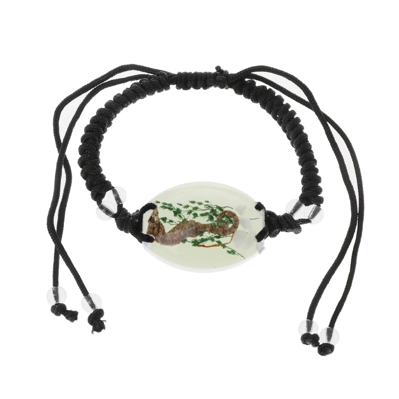 

Natural Glow-in-the-Dark Real Sea Horse Braided Black Cord Adjustable Bracelets U50C