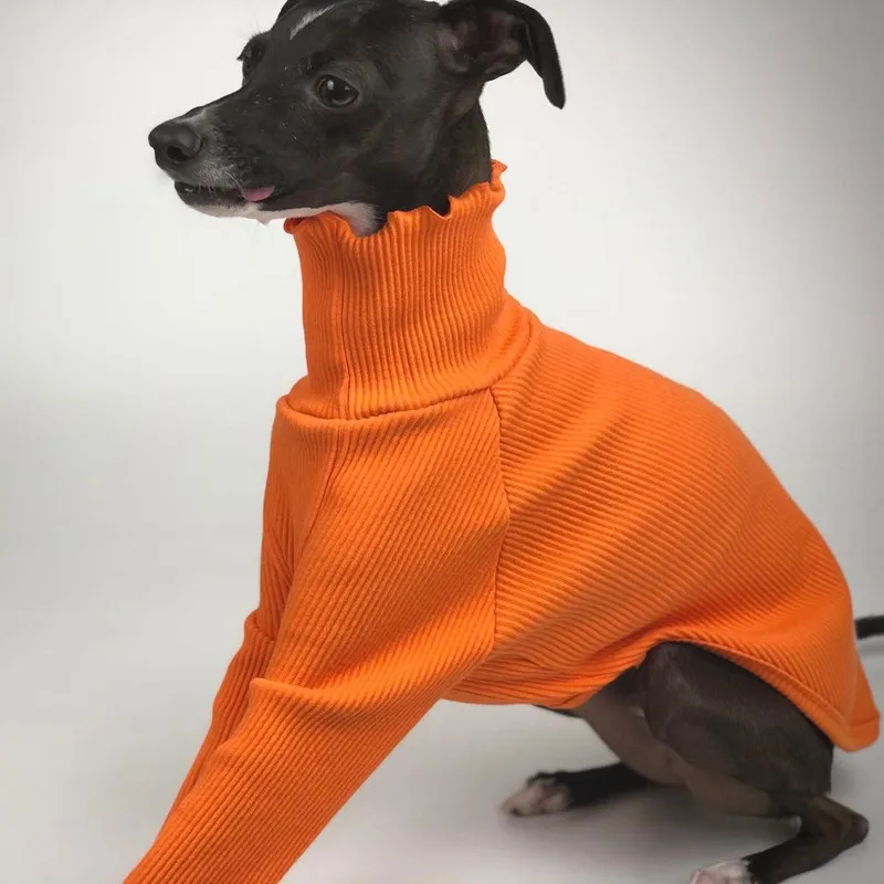 Whippet ウィペットの本　2冊セット　浴衣２枚 Whippet ウィペットの本 2冊セット 浴衣2枚 楽天市場