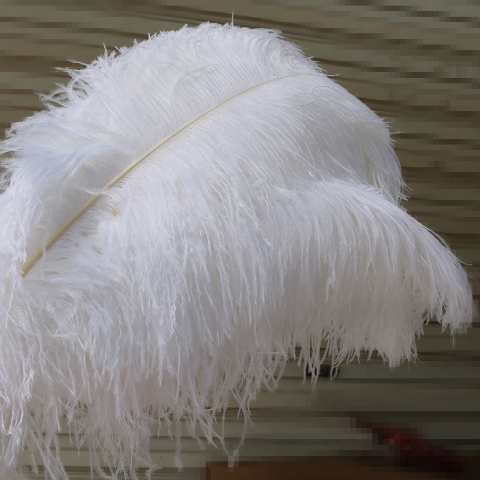 ostrich feather 3