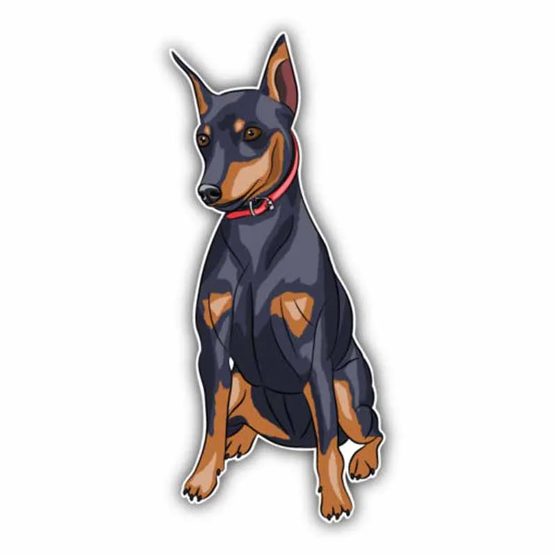 

Personality Miniature Pinscher Breed Dog Car Stickers Motorcycle Decals Waterproof Sunscreen PVC 17cm X 8cm