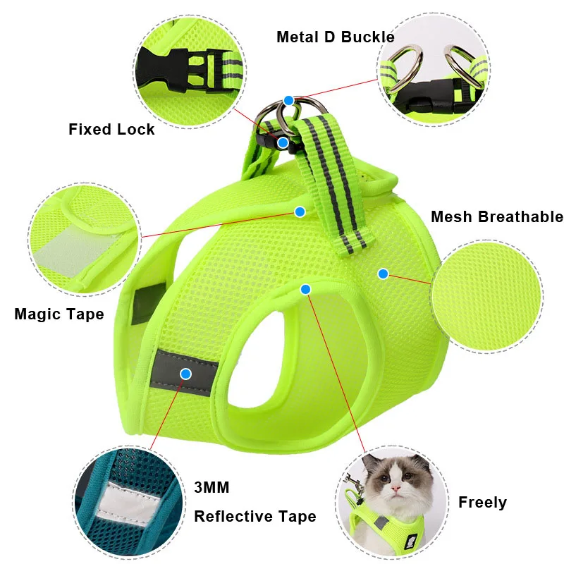 cat harness leash set