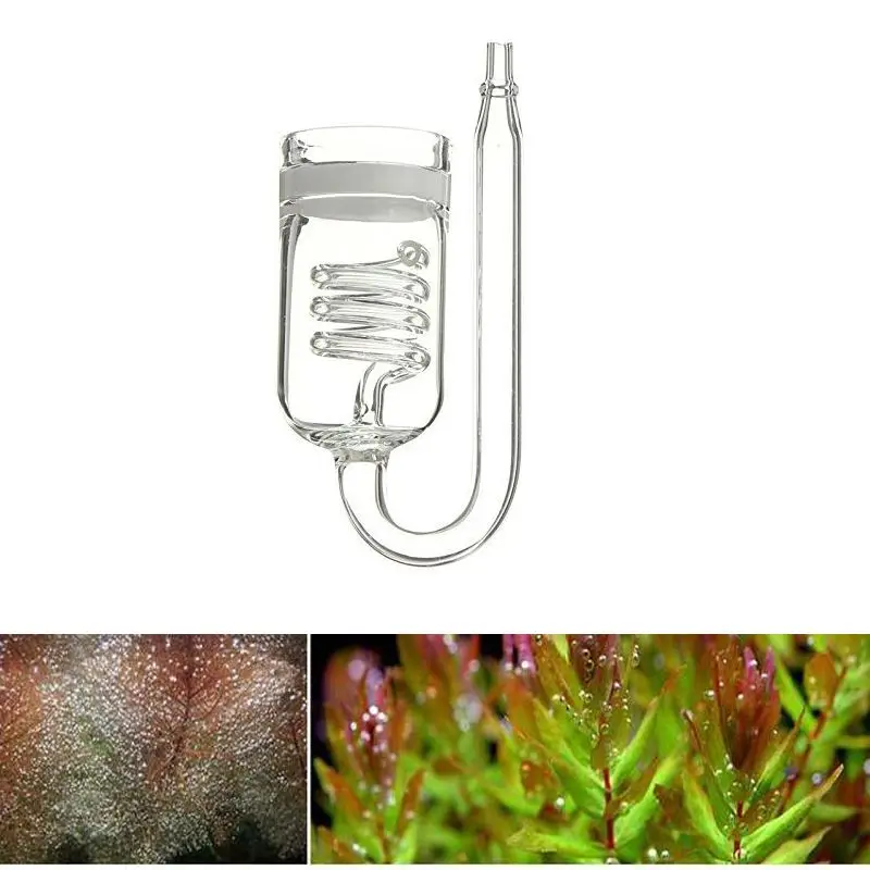 Precio bajo Difusor de vidrio para acuario, atomizador de tanque de vidrio, regulador con solenoide, Moss, CO2, para depósito de agua para planta, musgo exoxoMjYE