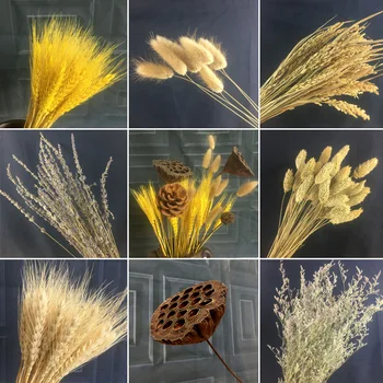 

Natural Wheat Dried Flower Bouquet Opening Barley Garden Decoration Gift Filming Props Stars Ear of Rice roving hua