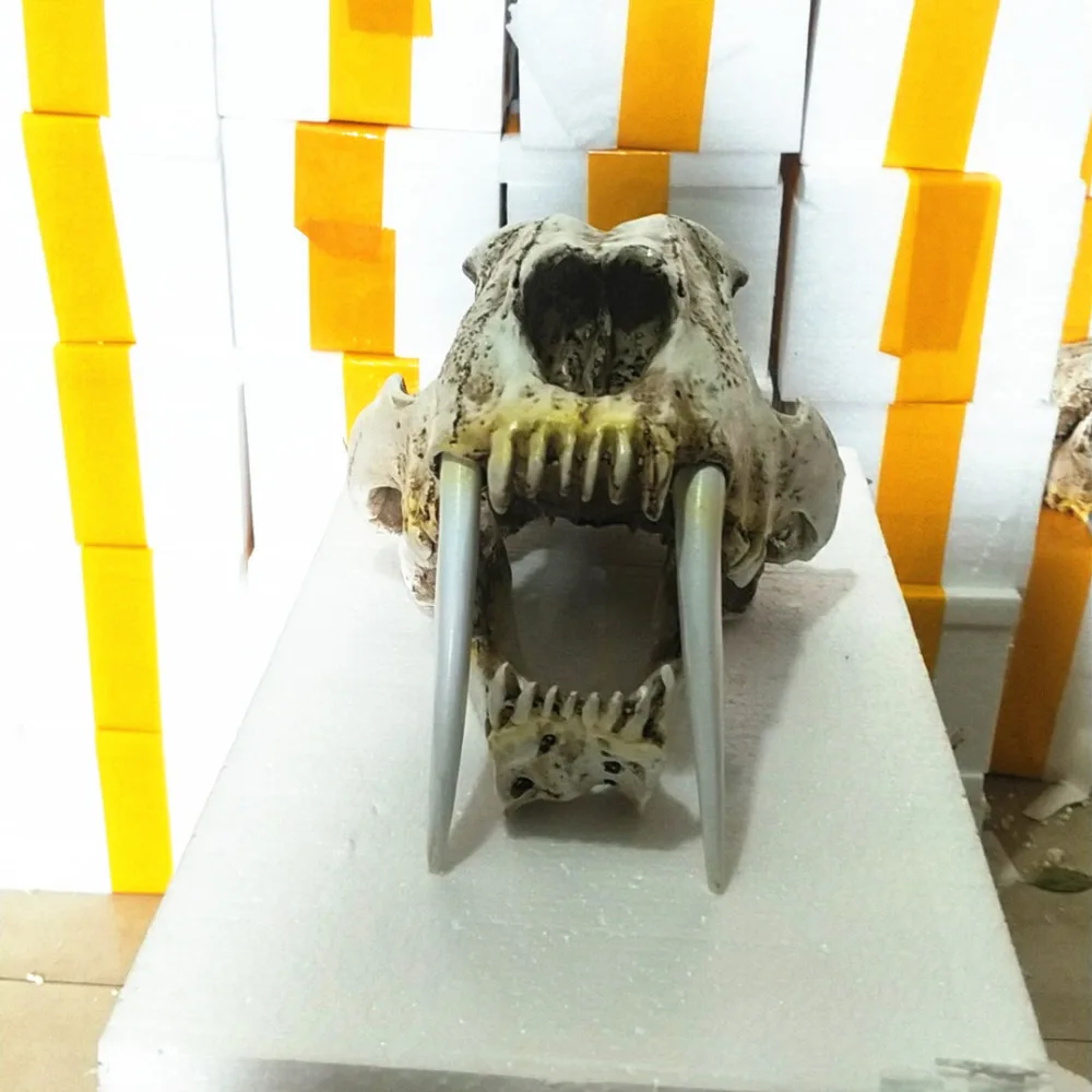 10655480213_1243009114