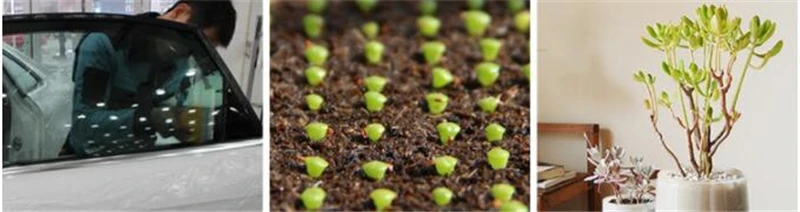 QQ截图20190912150354