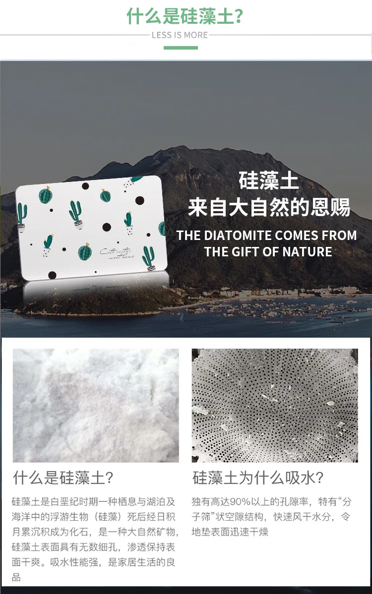 LISM Quick-drying cactus diatom mud mat durable quick-drying absorbent bathroom carpet non-slip diatom carpet