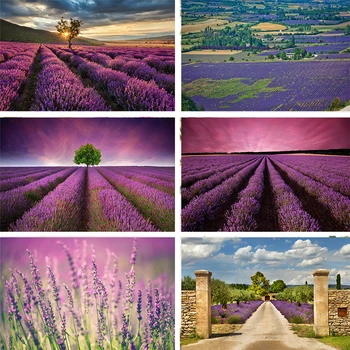 

Nitree Garden Flower Sea Lavender Kusada Sunset Glow Natural Scenery Backdrop Photo Studio Photography Background Vinyl