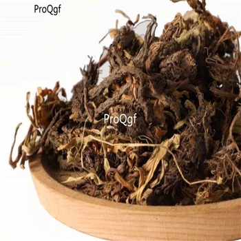 

Prodgf 250Gram A Set Nardostachys jatamansi