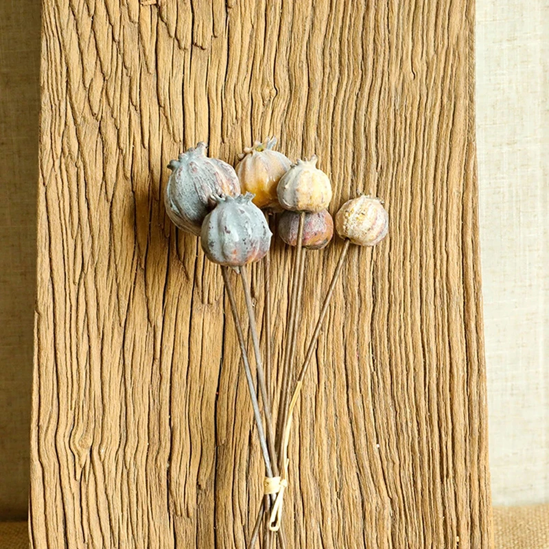 Slide image ed05a2564166453fa4705dde73e69903