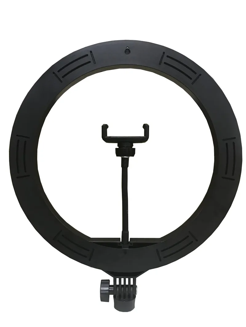 背面透明图_副本