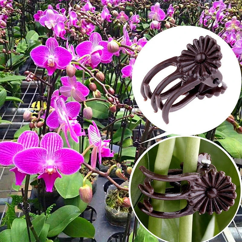 100 шт. мини темно-фиолетовые 5 когтей орхидеи прививки клип Поддержка растений прививки зажимы стебли орхидеи пластиковые фиксированные инструменты 1,5x2 см