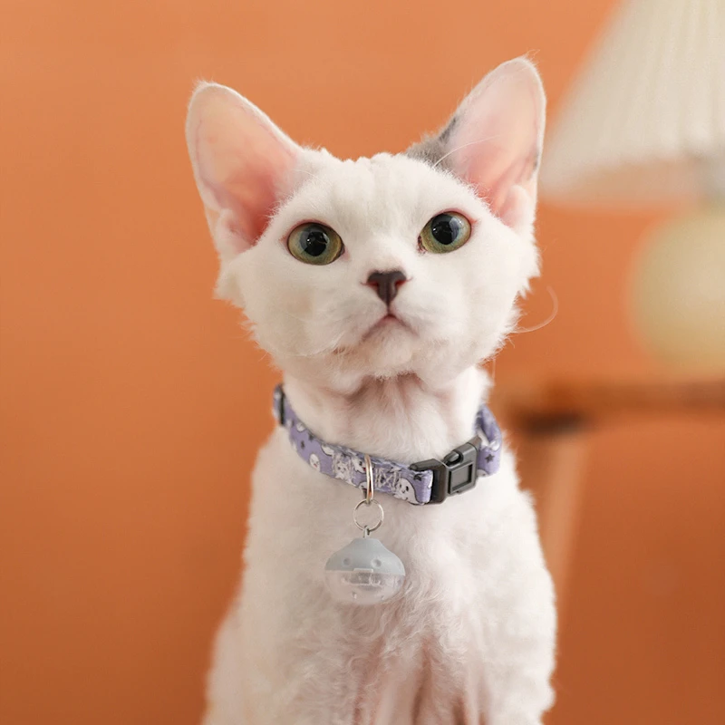 Lila