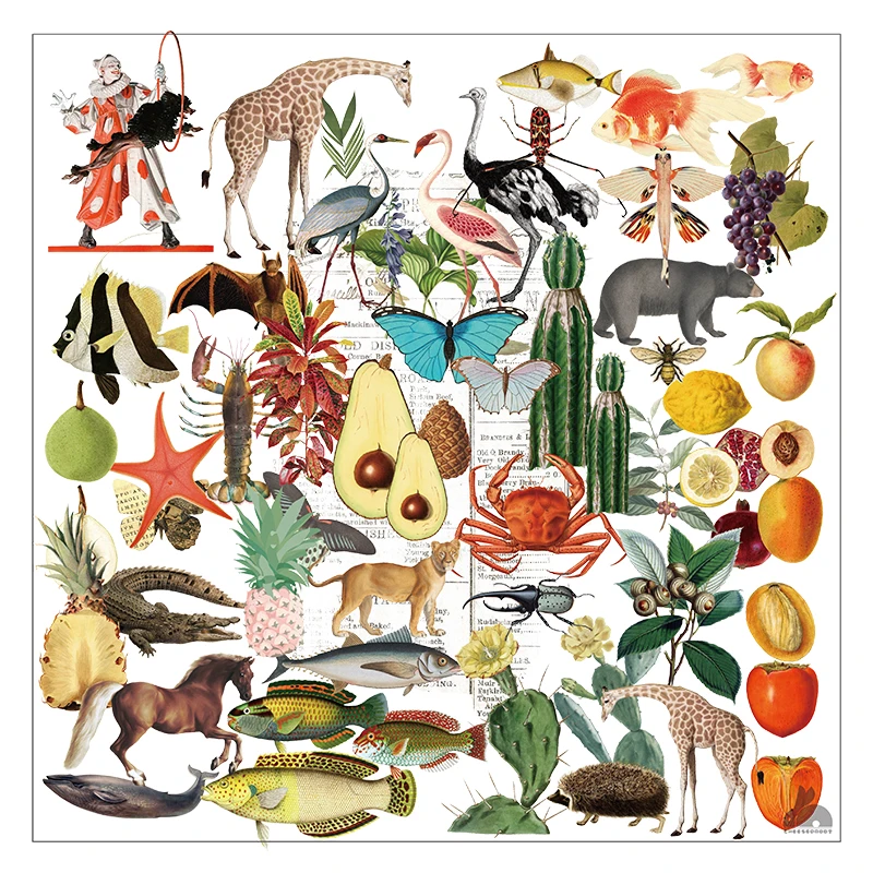 ZFPARTY 50pcs Life Encyclopedia Vellum Stickers for Scrapbooking Happy Planner/Card Making/Journaling Project
ZFPARTY 50pcs Life Encyclopedia Vellum Stickers for Scrapbooking Happy Planner/Card Making/Journaling Project