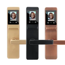 MultiFinction Intelligent Facial/Palmprint/Card/Password/Recognition Lock Household Door/Anti-theft DoorMultiple protection Lock cadeado free shipping fingerprint lock household anti theft door zinc alloy slide phone remote password unlock for intelligent