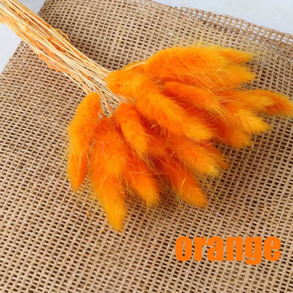 orange 30 шт./лот, Кролик хвост, трава, букет, Натуральные сушеные цветы, красочные, lagunus Ovatus, настоящий букет цветов для украшения дома, свадьбы - Цвет: orange