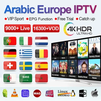 

1 Year IPTV Adult xxx Subscription Spain Germany IPTV M3u Portugal Turkey 4k IPTV Reseller Panel Free Test Android Enigma2 Mag