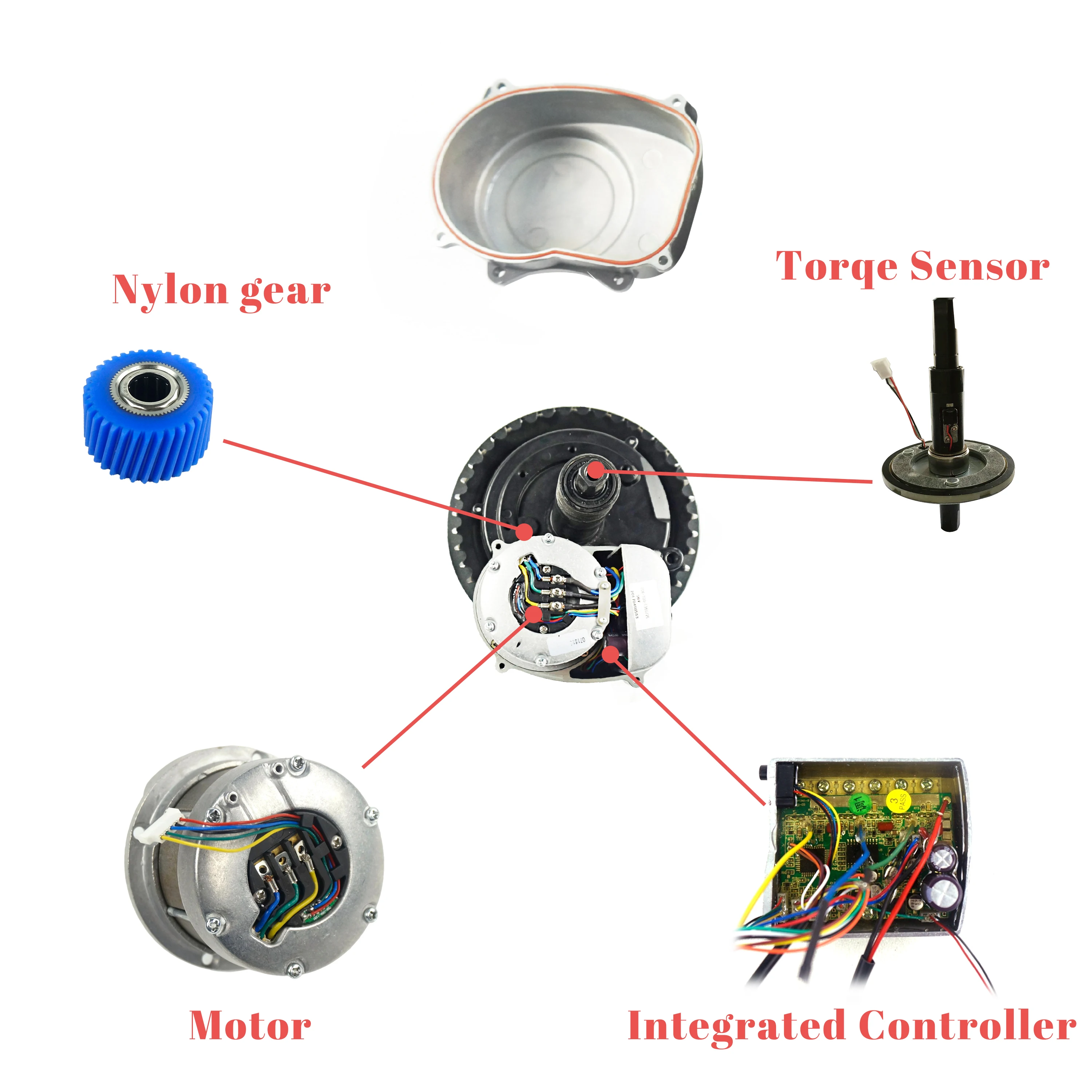 US $123.58 36V 48V Inner Motor Tongsheng Cycling Parts Replacement for TSDZ2 Mid Drive Motor 250W 350W 500W