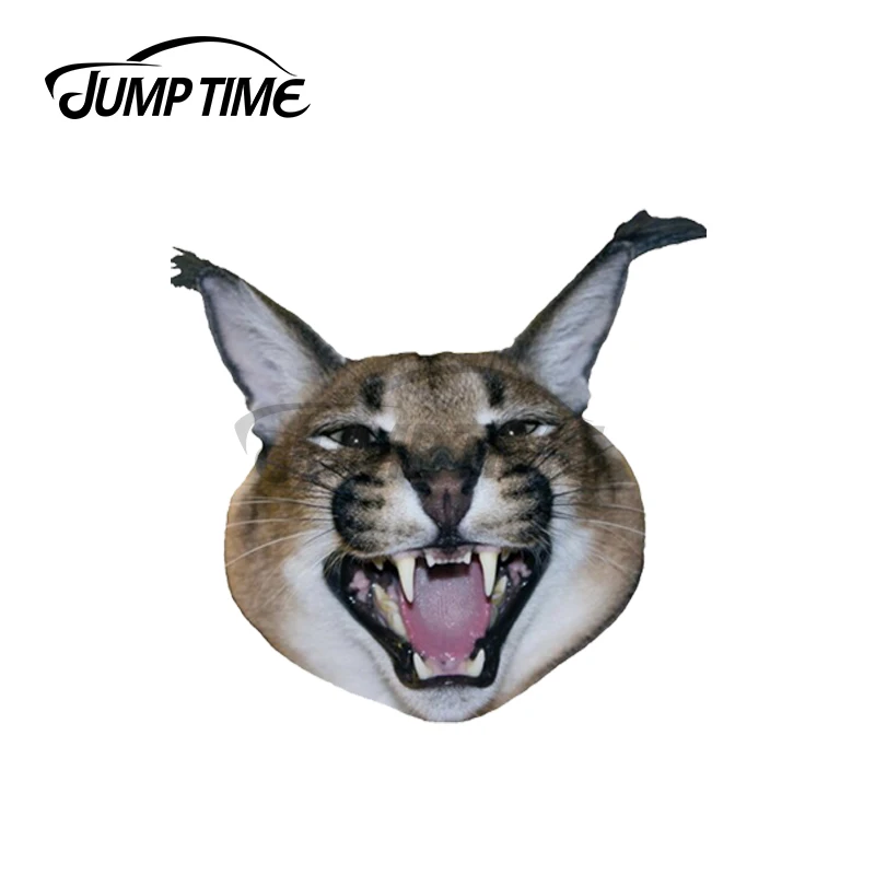 Jump Time 13 x 11.5cm For Big Floppa Angry Graffiti Sticker Personality Creative Cartoon Stickers Body Car Vinyl Wrap | Автомобили и