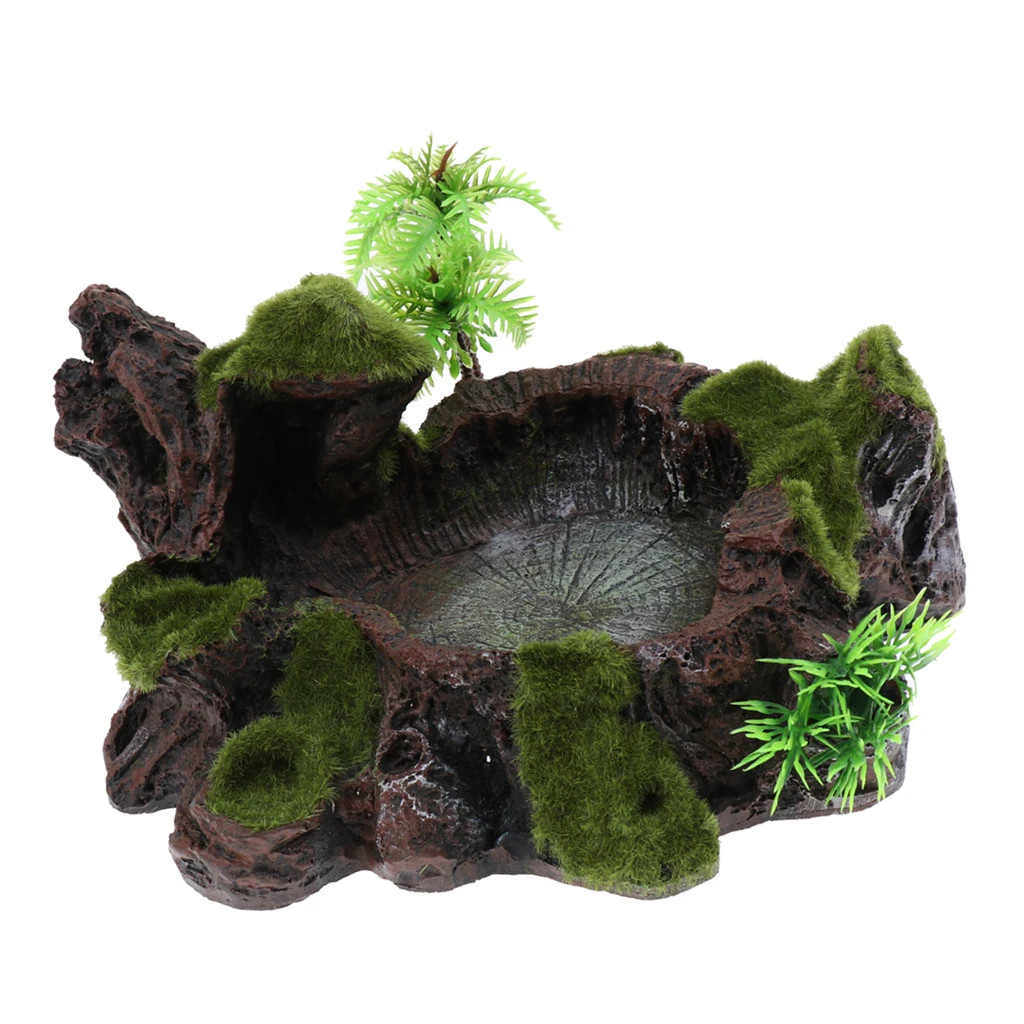 Resin Amphibians Reptile Feeding Rock Bowl Water Drinking Dish Pet Tortoise Lizard Gecko