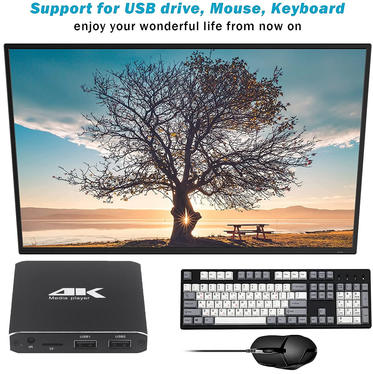 Media Player Multimedia Player 4K H.265 Advertising Player Auto Loop Playback With TF/AV/HDMI/USB Disk 1080P HD Media Support Mouse