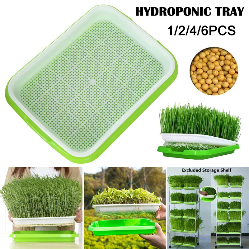 Fxhan Seed Sprouter Tray Plant Germination Trays Double Layer Hydroponics Basket