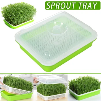 

HOT Seed Sprouter Tray Soil-Free Large Capacity with Cover Seedling Tray Bean Sprout Plate Hydroponic NDS