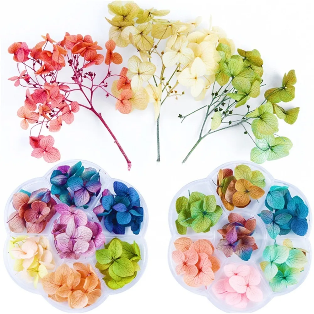 Смешанные сушеные цветы украшения для ногтей ювелирные изделия натуральные Цветочные наклейки в виде листьев 3D дизайн ногтей Дизайн ногтей Шарм маникюрные аксессуары набор