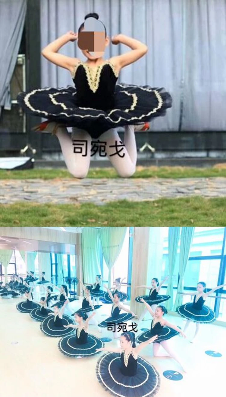 PPL18085拼图