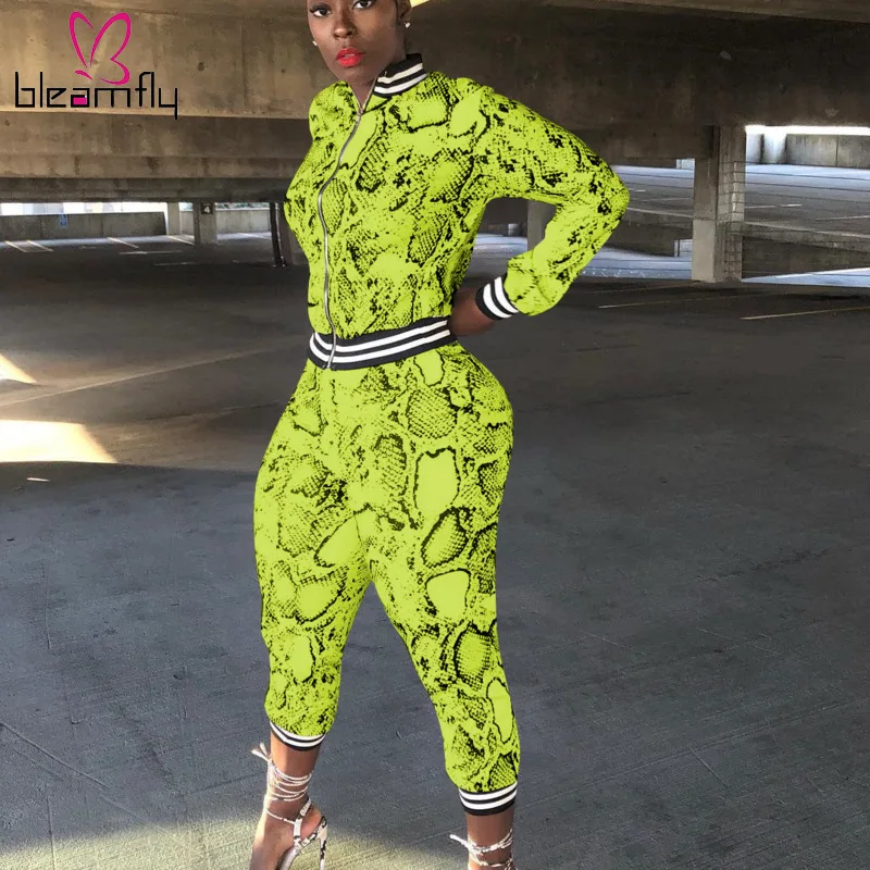 

Snake Print 2 Piece Sets Stripe Two Piece Tracksuit Suit Vintage Long Sleeve Jacket Top Long Pant Snakeskin Sweat Pants Neon Set