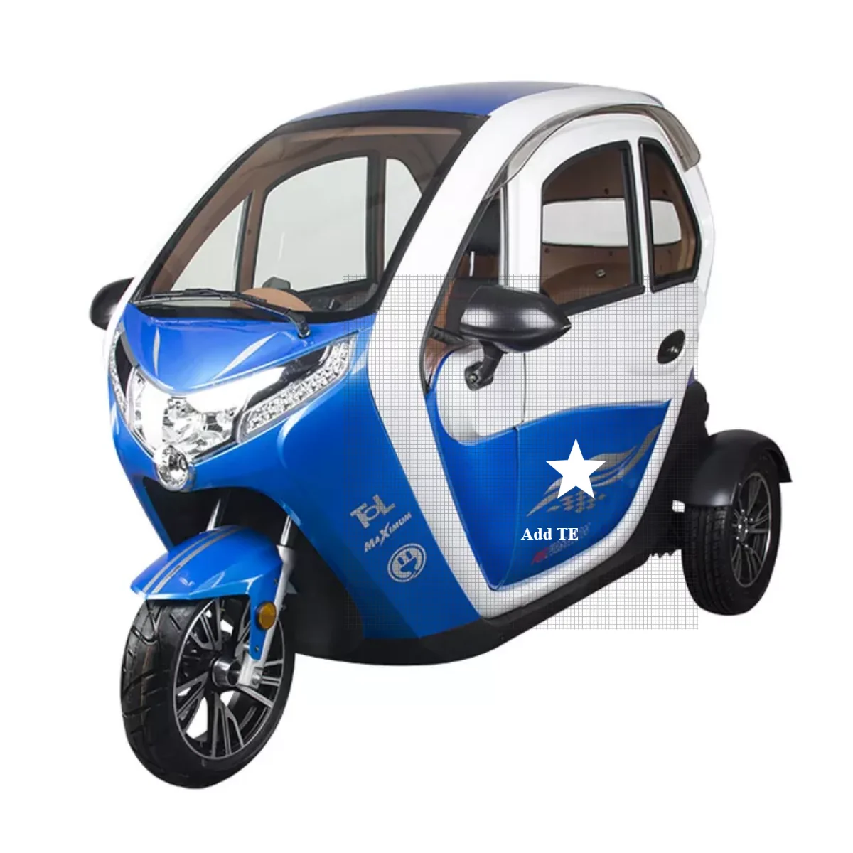 Eec 2019 Three Wheels Cargo Electric 