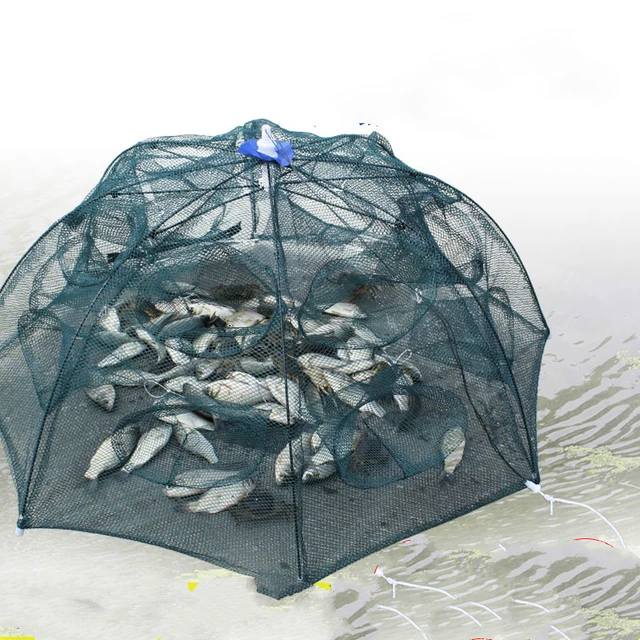 6-24 Holes Automatic Umbrella Fishing Net Shrimp Cage Foldable Crab Loach  Fish Trap Cast Net Cast Folding Fishing Network Pesca - Fishing Net -  AliExpress