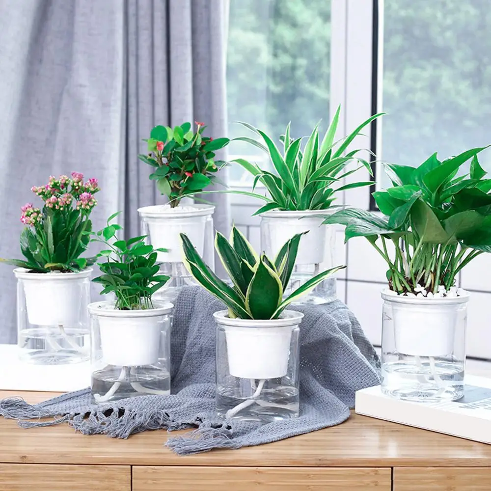 Clear Automatic Water Absorption Hydroponic Flower Pot Planter Growing System