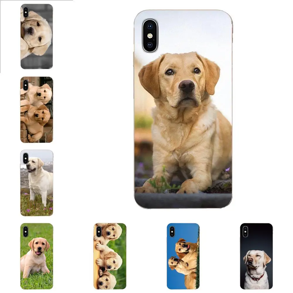 Для Apple iPhone 4 4S 5 5C 5S SE SE2 6 6S 7 8 11 Plus Pro X XS Max XR Новинка чехол для телефона собака
