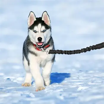 

dog Reflective Leash Dog Extension Leash Heavy Duty Nylon Elastic Walking Running Extension Lead for Small and Medium Dogs