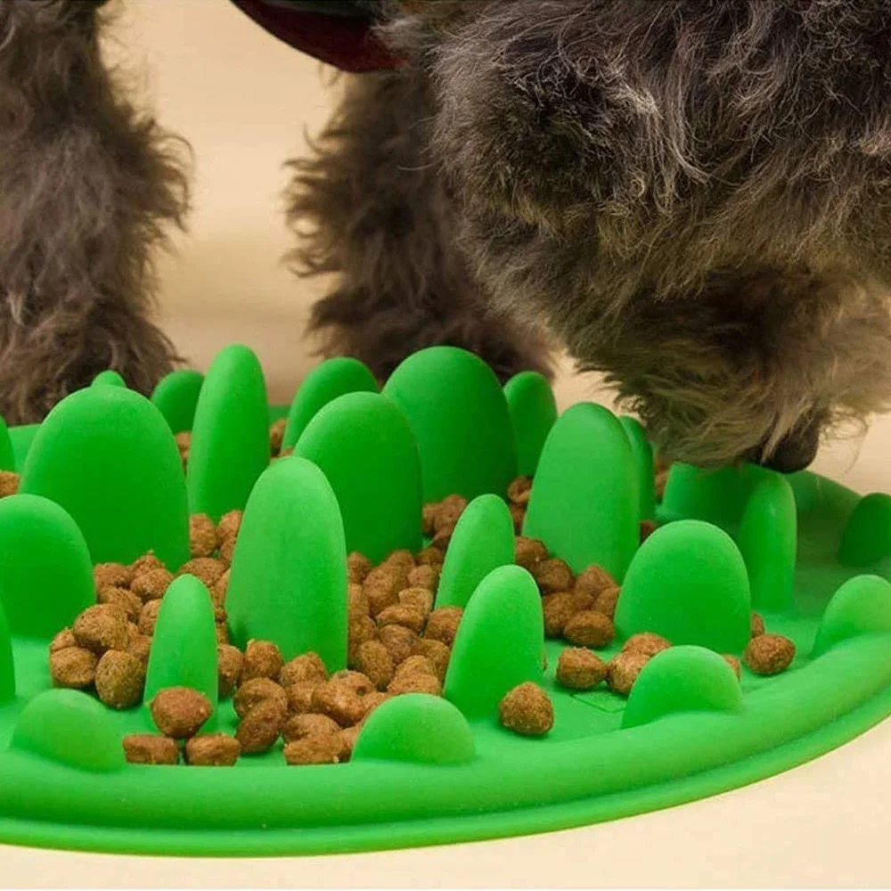 Hd241e5f013b6457786259247a36eba2b7