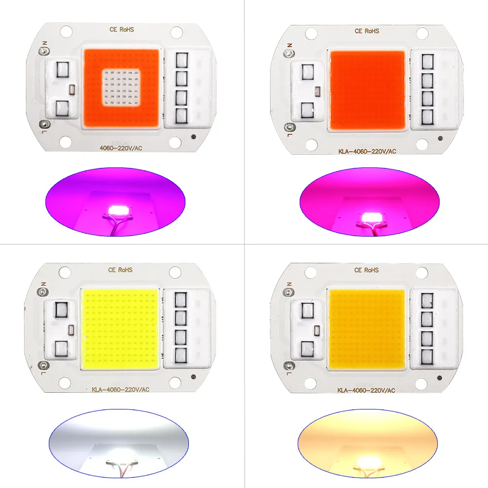 Slide image 9799d397c1b546359c558203369b8142