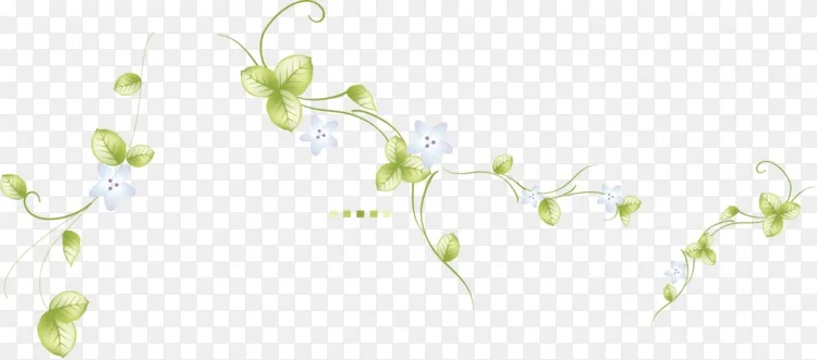 花卉设计叶枝 可爱的绿色背景春天促销材料png图片素材免费下载 图片编号 Png素材网