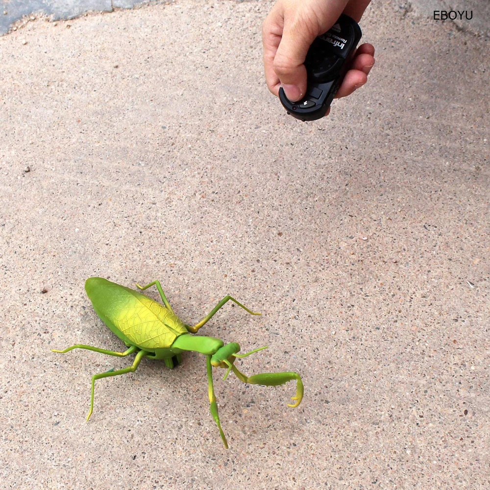 EBOYU RC Praying Mantis IR Remote Control Animal Toy Fake Car Vehicle Electric for Kids Birthday Christmas Gfits 5