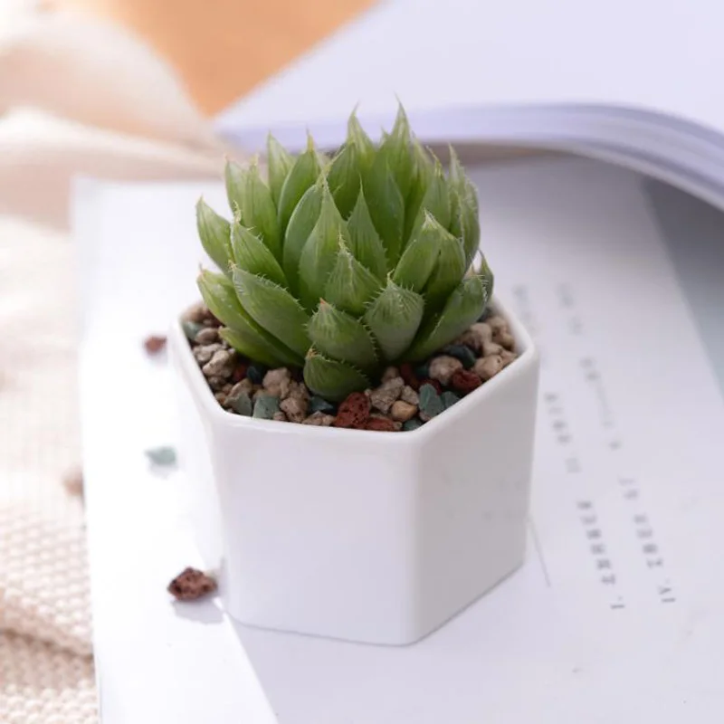 Ceramic Succulent Plant Pot Cactus Plant Pot Flower Pot bonsai Container Planter with Bamboo Tray Garden Decoration