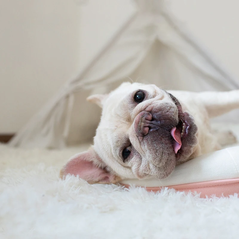 14132307806_1739912750