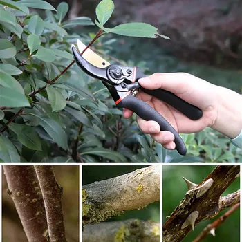 

Professional Pruning Shears Titanium Secateurs Bypass Pruner Hand Gardening Plant Scissor Branch Trimmer Tools
