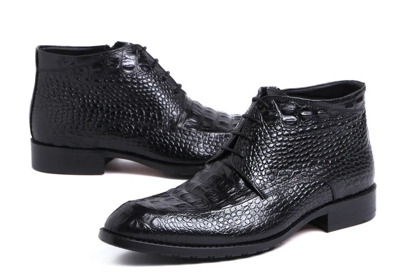 3405576080_1257755034