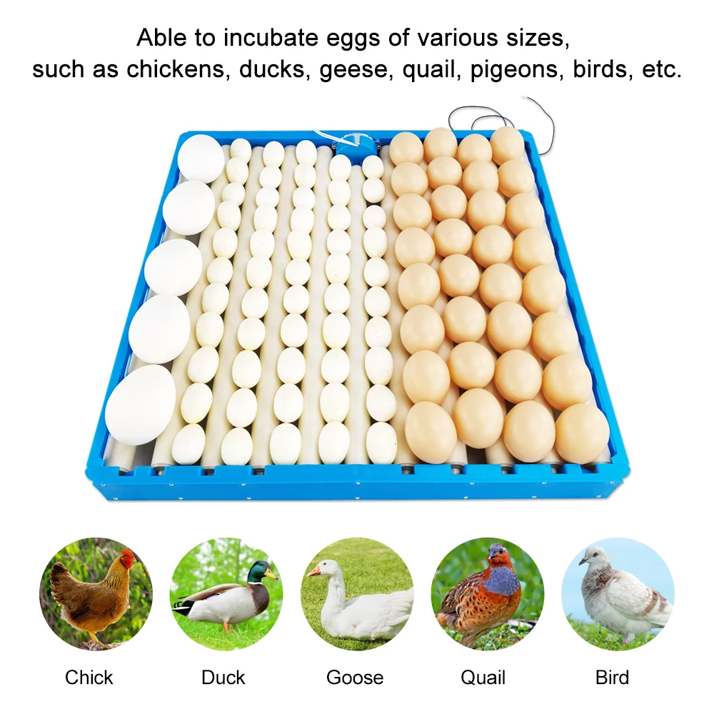 Egg Incubator 360&deg; Automatic Rotary Egg Tray 70-108 Eggs Incubator 220V Chicken Duck Goose Quail Egg Tray Tool Poultry Supplies