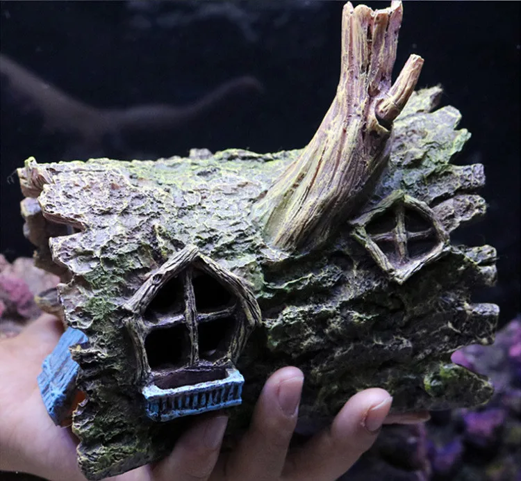 11998379888_1664731357