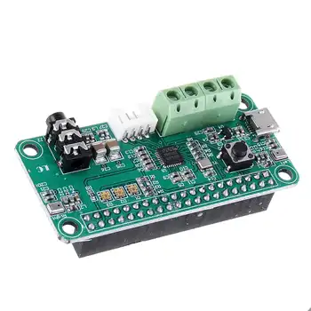 

RPI_WM8960 WM8960 Audio Decoding Module DIY Smart Speaker Speech Recognition with Dual Microphone Stereo 3D Output DAC Board