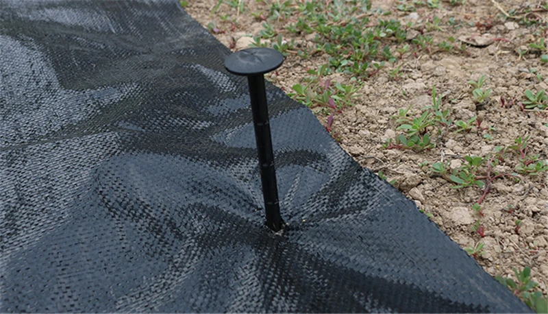 O1CN011DizrDfkgZa0Ahd_!!2372350251