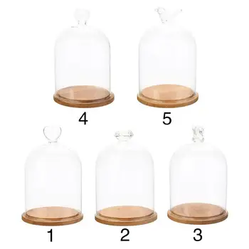 

Bird Preserved Fresh Flower Home Prop Colorful Floral Decor Rose Glass Cover Wedding Beautiful Decorating